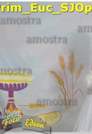 11651-Prim_Euc_SJOperario-02-06-2024