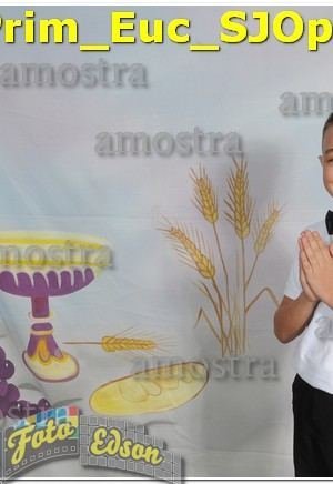 11703-Prim_Euc_SJOperario-02-06-2024