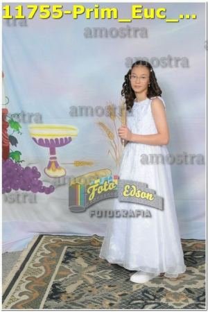 11755-Prim_Euc_SJOperario-02-06-2024