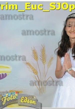 11825-Prim_Euc_SJOperario-02-06-2024