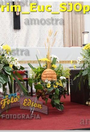 08192-Prim_Euc_SJOperario-01-06-2024