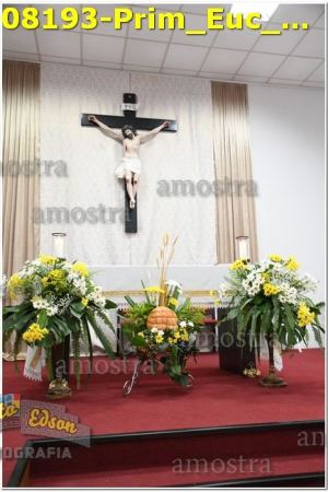 08193-Prim_Euc_SJOperario-01-06-2024