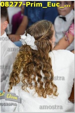 08277-Prim_Euc_SJOperario-01-06-2024