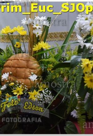 08586-Prim_Euc_SJOperario-01-06-2024