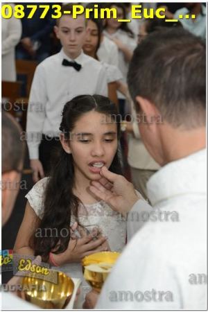 08773-Prim_Euc_SJOperario-01-06-2024