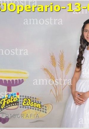 07984-SJOperario-13-07-2025