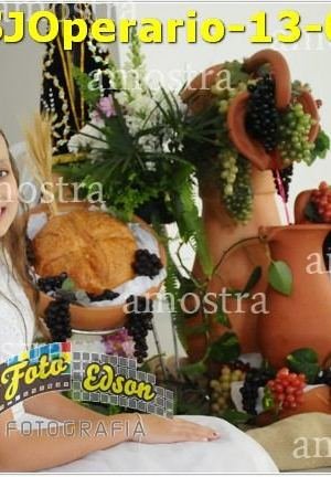 08613-SJOperario-13-07-2025