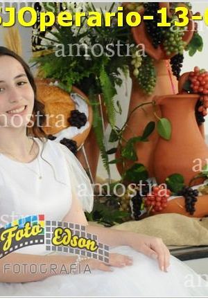 08620-SJOperario-13-07-2025