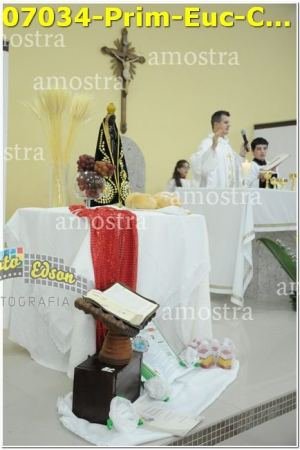 07034-Prim-Euc-Com-SPaulina-25-05-2024