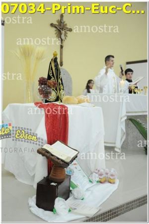 07034-Prim-Euc-Com-SPaulina-25-05-2024