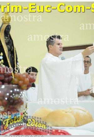 07036-Prim-Euc-Com-SPaulina-25-05-2024