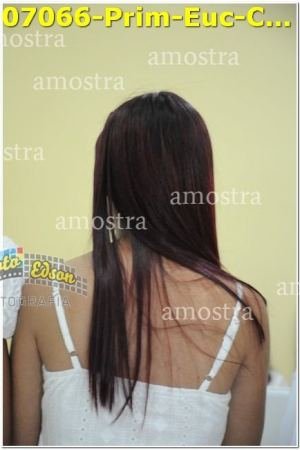 07066-Prim-Euc-Com-SPaulina-25-05-2024