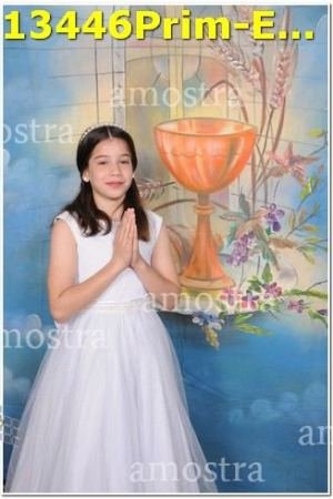 13446Prim-Euc-PSos-05-11-2023