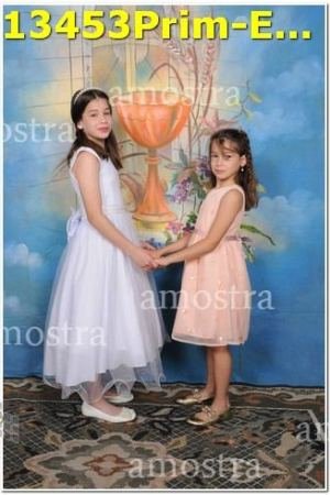 13453Prim-Euc-PSos-05-11-2023