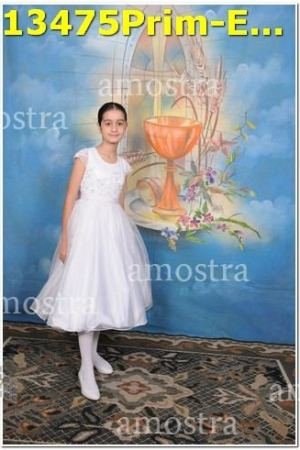 13475Prim-Euc-PSos-05-11-2023