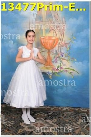 13477Prim-Euc-PSos-05-11-2023