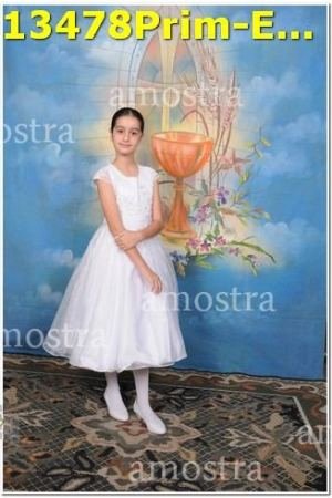 13478Prim-Euc-PSos-05-11-2023