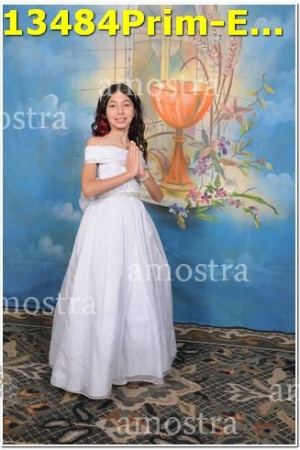 13484Prim-Euc-PSos-05-11-2023