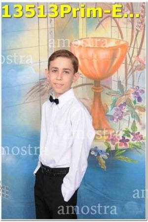 13513Prim-Euc-PSos-05-11-2023