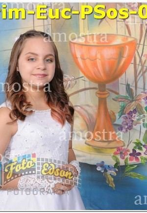 13523Prim-Euc-PSos-05-11-2023