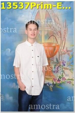 13537Prim-Euc-PSos-05-11-2023