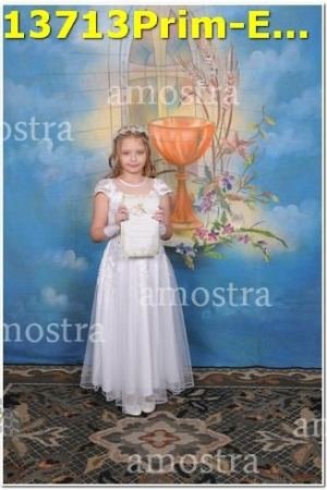 13713Prim-Euc-PSos-05-11-2023