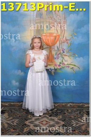 13713Prim-Euc-PSos-05-11-2023