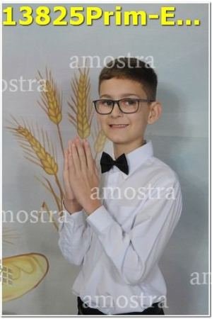 13825Prim-Euc-PSos-05-11-2023