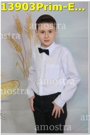 13903Prim-Euc-PSos-05-11-2023