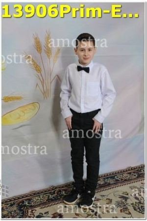 13906Prim-Euc-PSos-05-11-2023