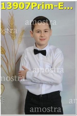 13907Prim-Euc-PSos-05-11-2023