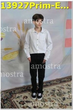 13927Prim-Euc-PSos-05-11-2023