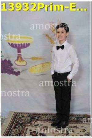 13932Prim-Euc-PSos-05-11-2023