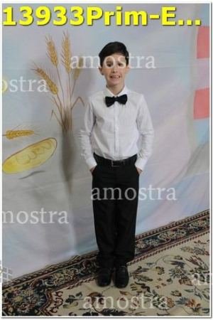 13933Prim-Euc-PSos-05-11-2023