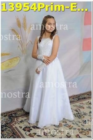 13954Prim-Euc-PSos-05-11-2023