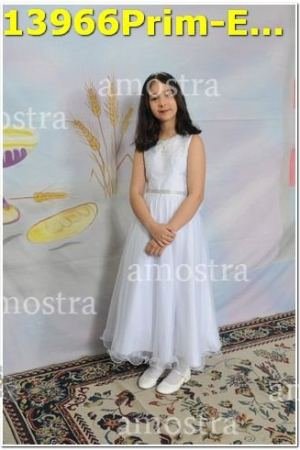 13966Prim-Euc-PSos-05-11-2023