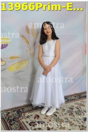 13966Prim-Euc-PSos-05-11-2023