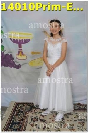 14010Prim-Euc-PSos-05-11-2023