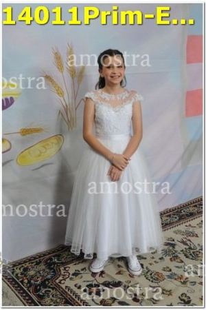 14011Prim-Euc-PSos-05-11-2023