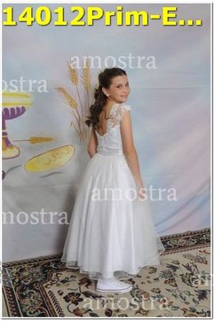 14012Prim-Euc-PSos-05-11-2023
