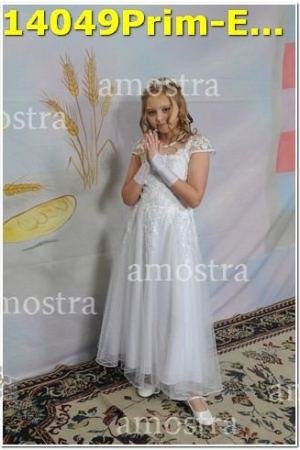 14049Prim-Euc-PSos-05-11-2023