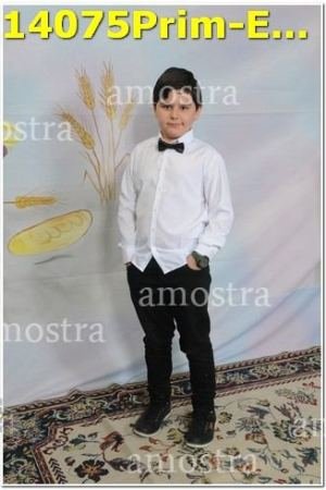 14075Prim-Euc-PSos-05-11-2023