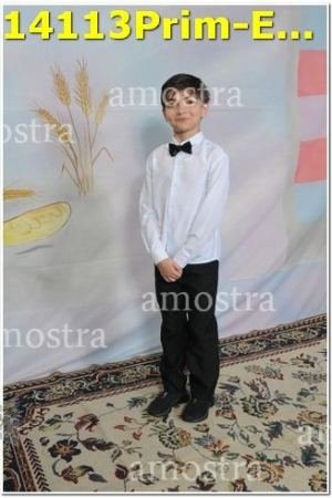 14113Prim-Euc-PSos-05-11-2023