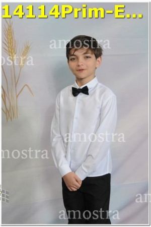 14114Prim-Euc-PSos-05-11-2023