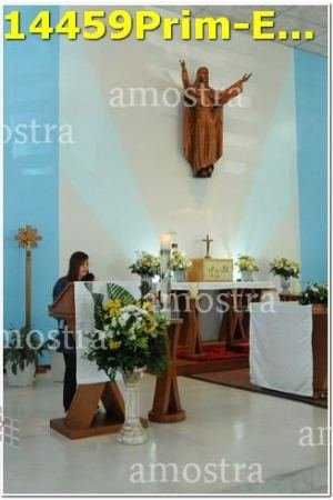 14459Prim-Euc-PSos-05-11-2023