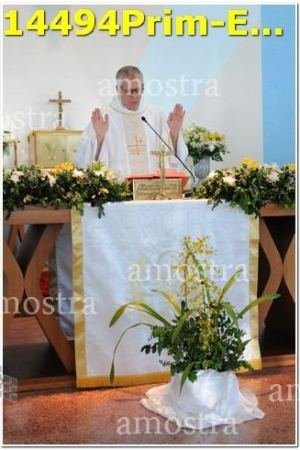 14494Prim-Euc-PSos-05-11-2023