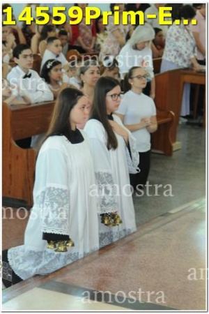 14559Prim-Euc-PSos-05-11-2023