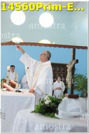 14560Prim-Euc-PSos-05-11-2023