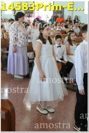 14583Prim-Euc-PSos-05-11-2023