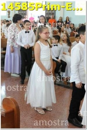 14585Prim-Euc-PSos-05-11-2023